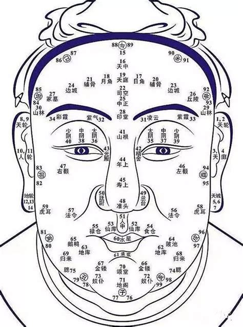 面相分析图|面相学图解